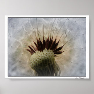 Let The Breeze Carry Me Poster