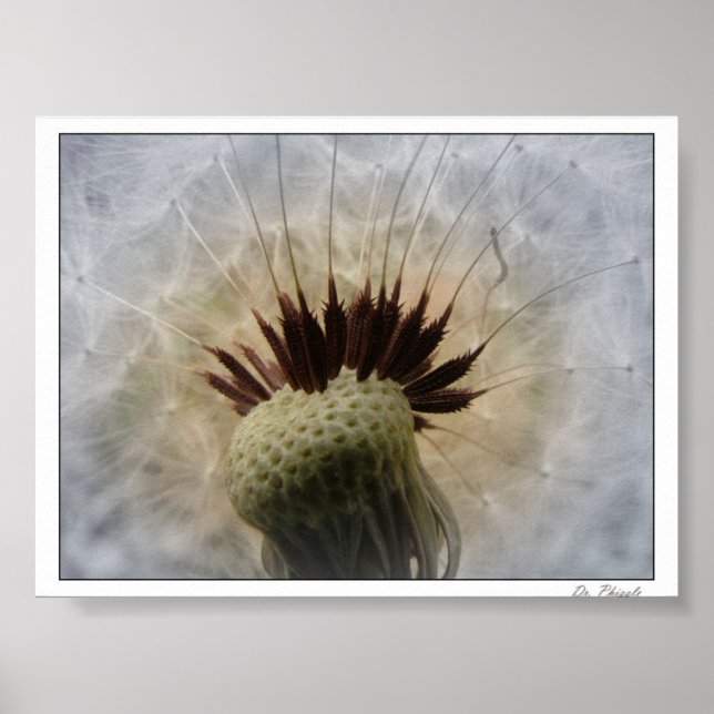 Let The Breeze Carry Me Poster (Front)