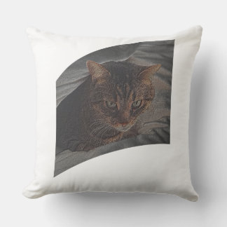 Let the cat rest cushion