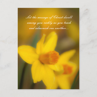 Let the message of Christ dwell among you richly a Postcard