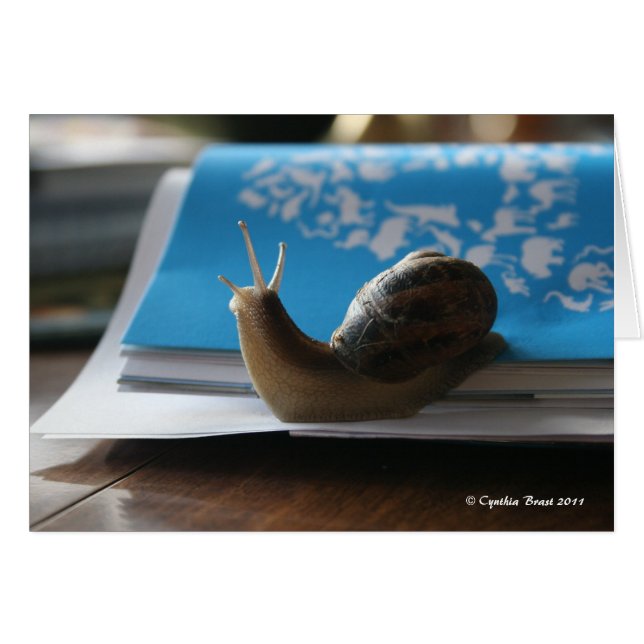 Let the Sun Shine! (Front Horizontal)