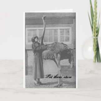 Let them Stare Holiday Card