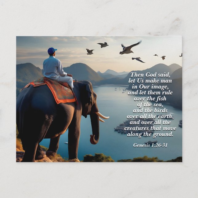 Let Us Make Man in Our image, God & Creation Verse Postcard (Front)