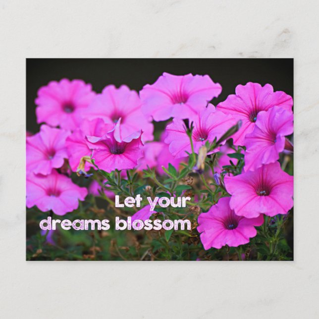 Let Your Dreams Blossom Postcard (Front)