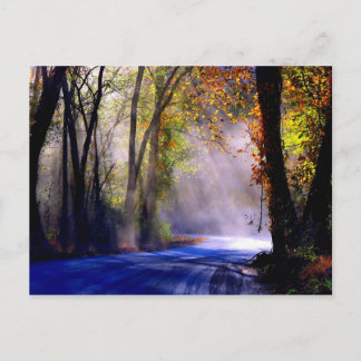 Let Your Light Shine Postcard