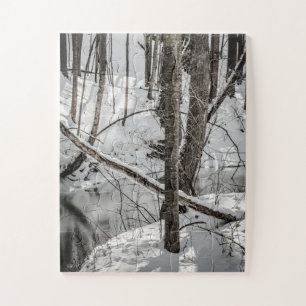 Letchworth State Park Snow Nature Winter Jigsaw Puzzle
