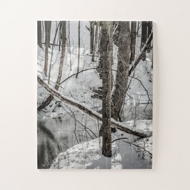 Letchworth State Park Snow Nature Winter Jigsaw Puzzle (Vertical)