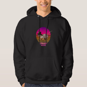Let's Be Weird Sphynx Cat With A Hat Bizarre Felin Hoodie