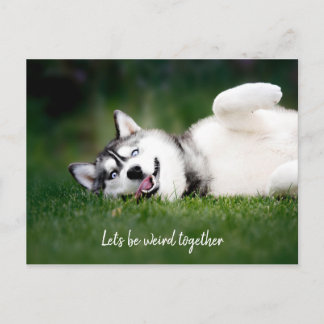 Let's Be Weird Together / Husky Photo Postcard