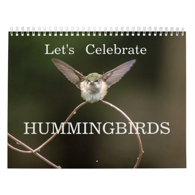 Let's Celebrate Hummingbirds Calendar (Cover)