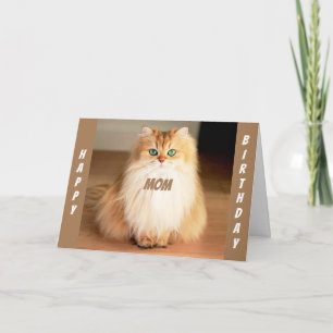**LET'S CELEBRATE YOU MOM** WIDE EYED CAT SAYS CARD
