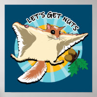 Let's Get Nuts - Flying Squirrel