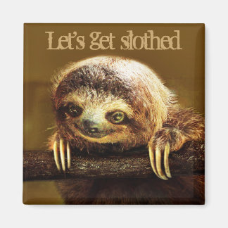 Let's get Slothed Magnet