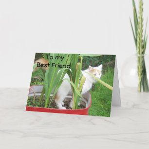 **LET'S GET TOGETHER SOON MISS U BEST FRIEND" CARD