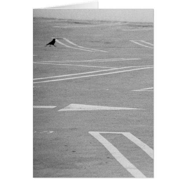 Let's Go That Way!! (Front)