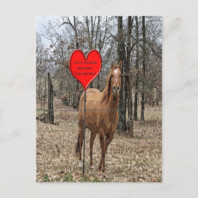 Lets Horse Around Valentine Post Card (Front)