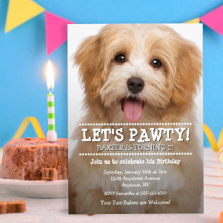 Let's Pawty 2-Photo Pet Birthday Invitation