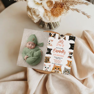 Let's Pawty Cat 5th Birthday photo Birthday Kid Invitation