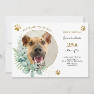 Let's pawty, dog's birthday party invitation