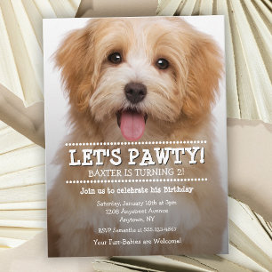 Let's Pawty Pet Photo Birthday Party Postcard