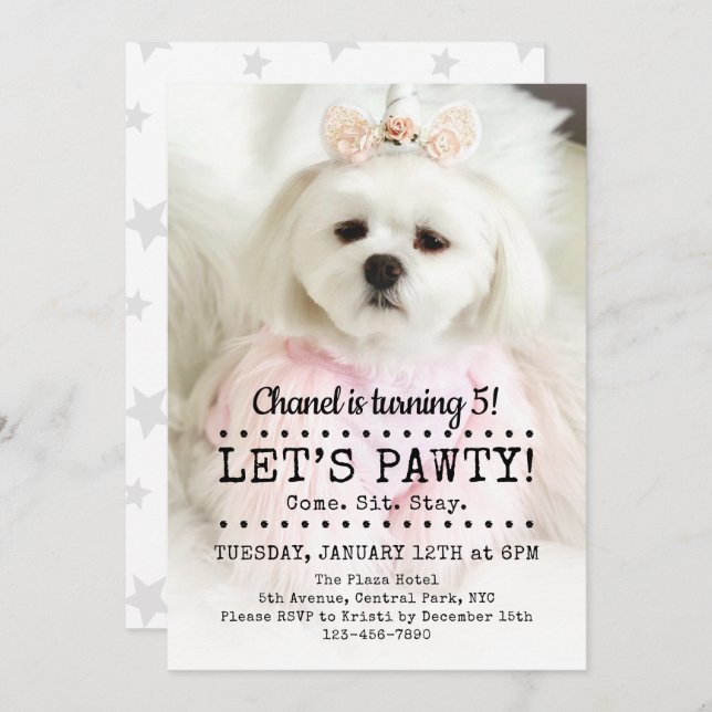 Let's Pawty Photo Pet Birthday Party Invitation (Front/Back)
