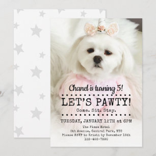 Let's Pawty Photo Pet Birthday Party Invitation