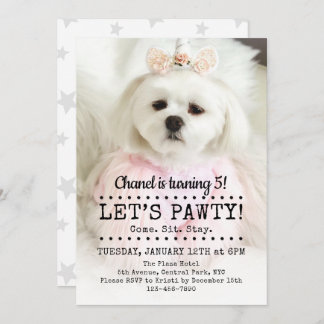 Let's Pawty Photo Pet Birthday Party Invitation