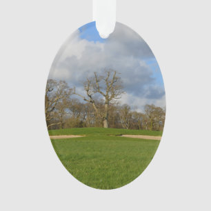 Let's Play Golf Ornament