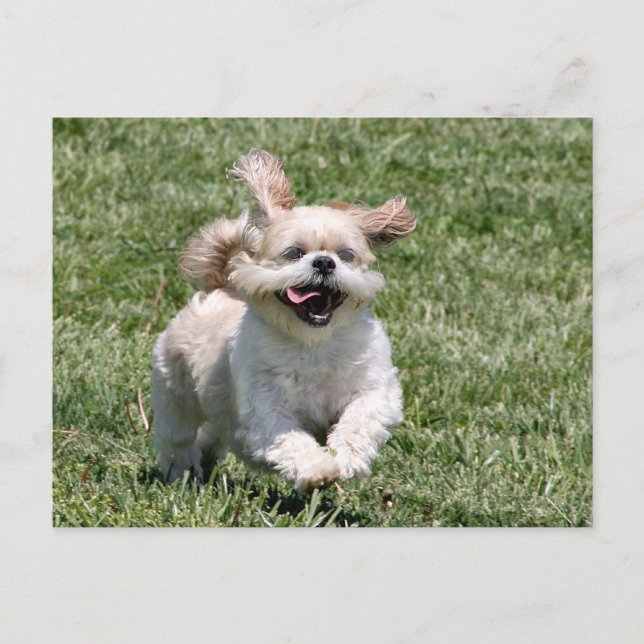 Let's play together postcard (Front)