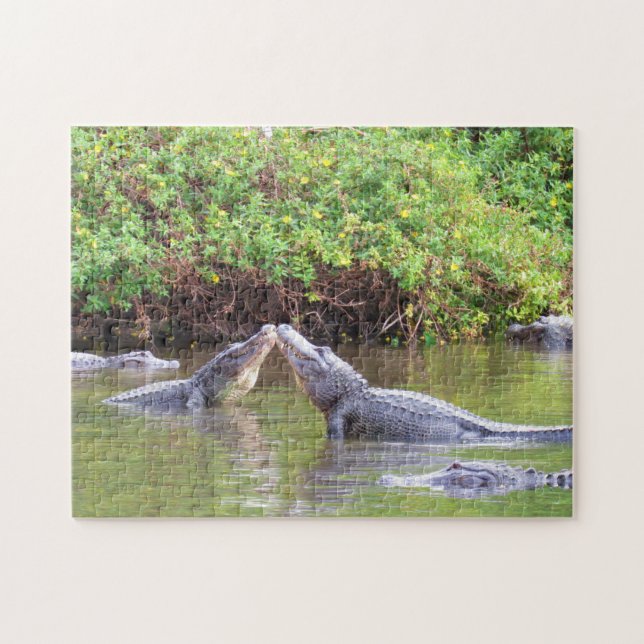 Let's Rumble - Spring with the Gators! - Alligator Jigsaw Puzzle (Horizontal)