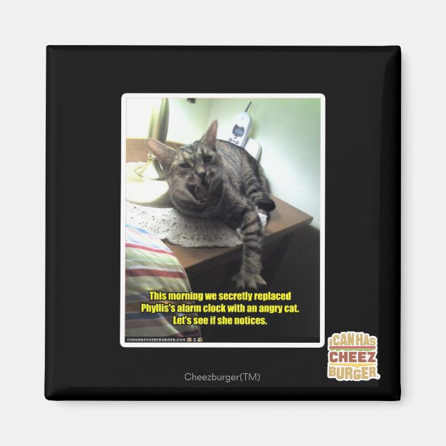 Let's see if she notices. magnet (Front)