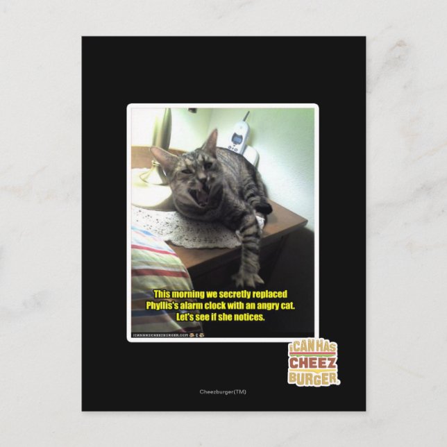 Let's see if she notices. postcard (Front)