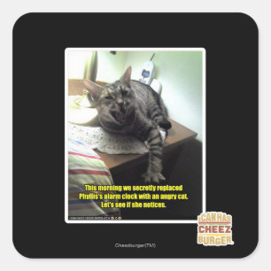 Let's see if she notices. square sticker