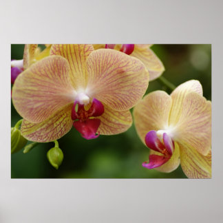 Let's stay together poster