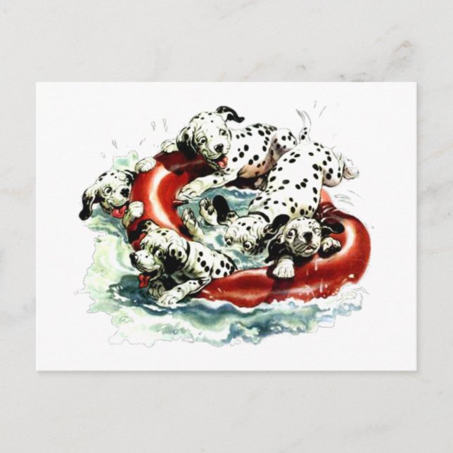 lets swim postcard (Front)