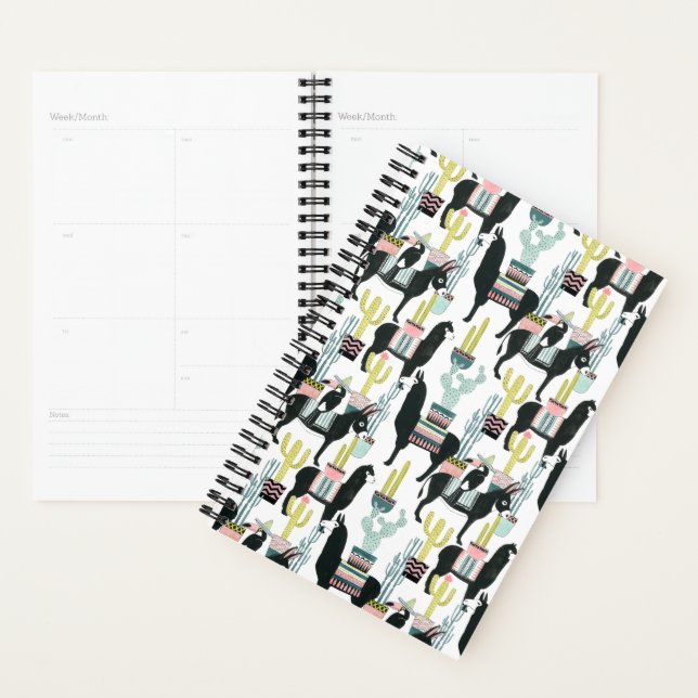 Let's Taco About Love | Llama & Donkey Pattern Planner (Display)