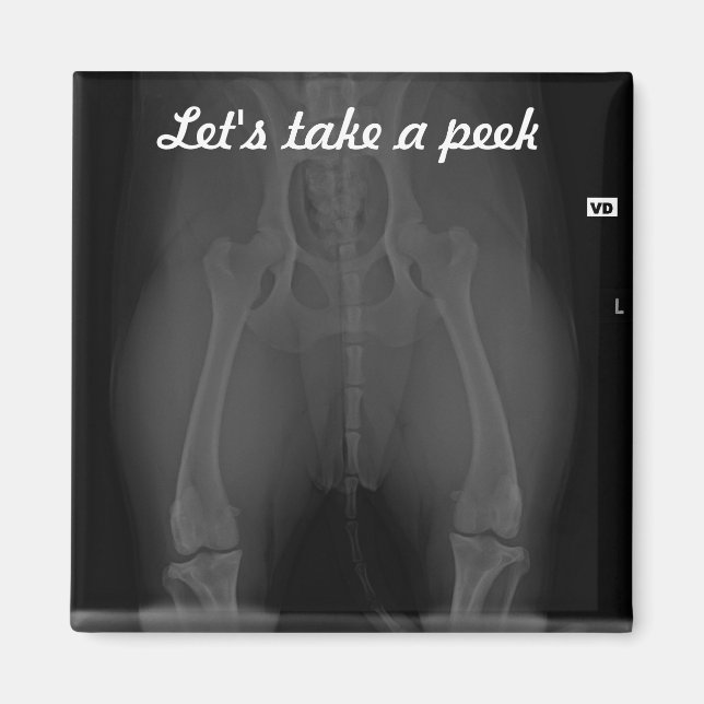 Let's take a Peek Magnet (Front)