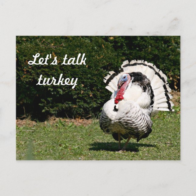 Let's talk turkey postcard (Front)