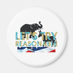 Let's Try Reasonable Magnets