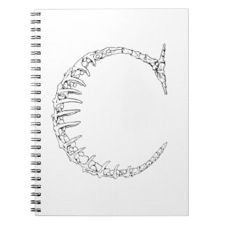 Letter C Bone Initial Notebook