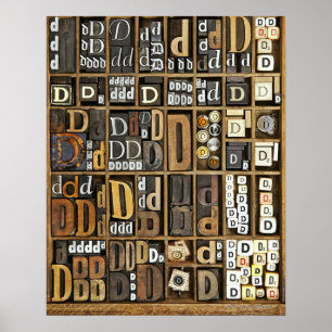 Letter D Poster