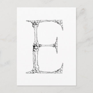 Letter E Bone Initial Postcard