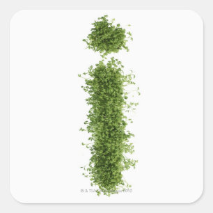 Letter 'i' in cress on white background, square sticker
