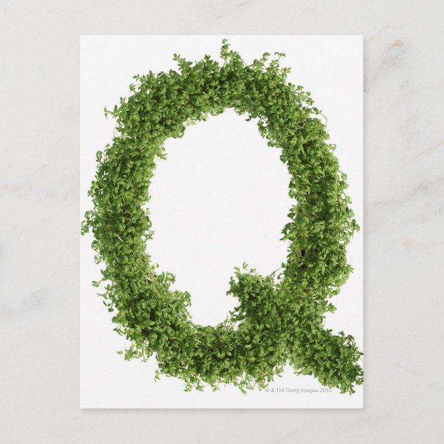 Letter 'Q' in cress on white background, Postcard (Front)