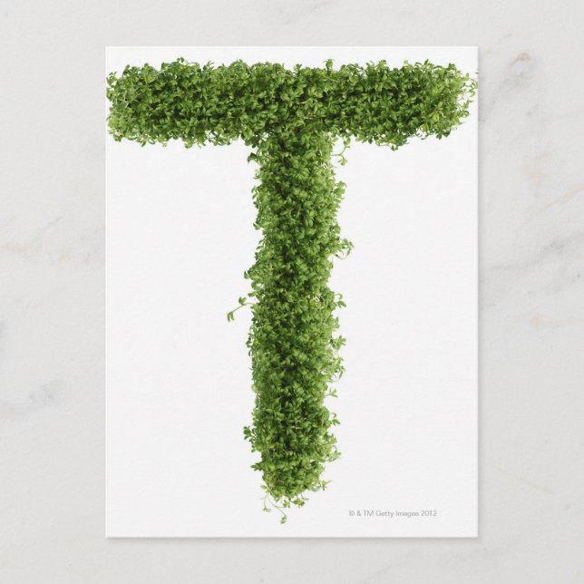 Letter 'T' in cress on white background, Postcard (Front)