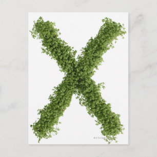 Letter 'X' in cress on white background, Postcard