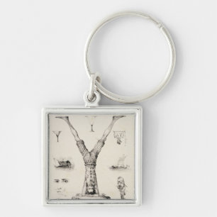 Letter Y from an alphabet primer Key Ring