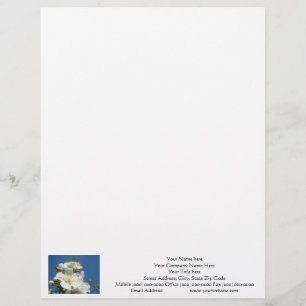 Letterhead Cherry Blossom Blue Sky custom