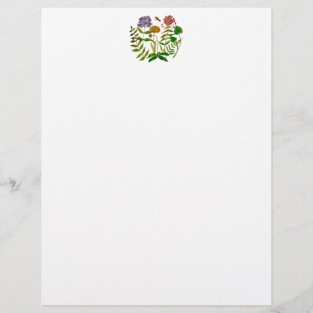 Letterhead with Botanical Illustration Design (Front)