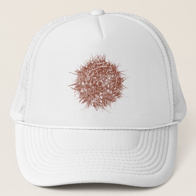 Letterpress Chilean Sea Urchin (Loxechinus albus) Trucker Hat (Front)